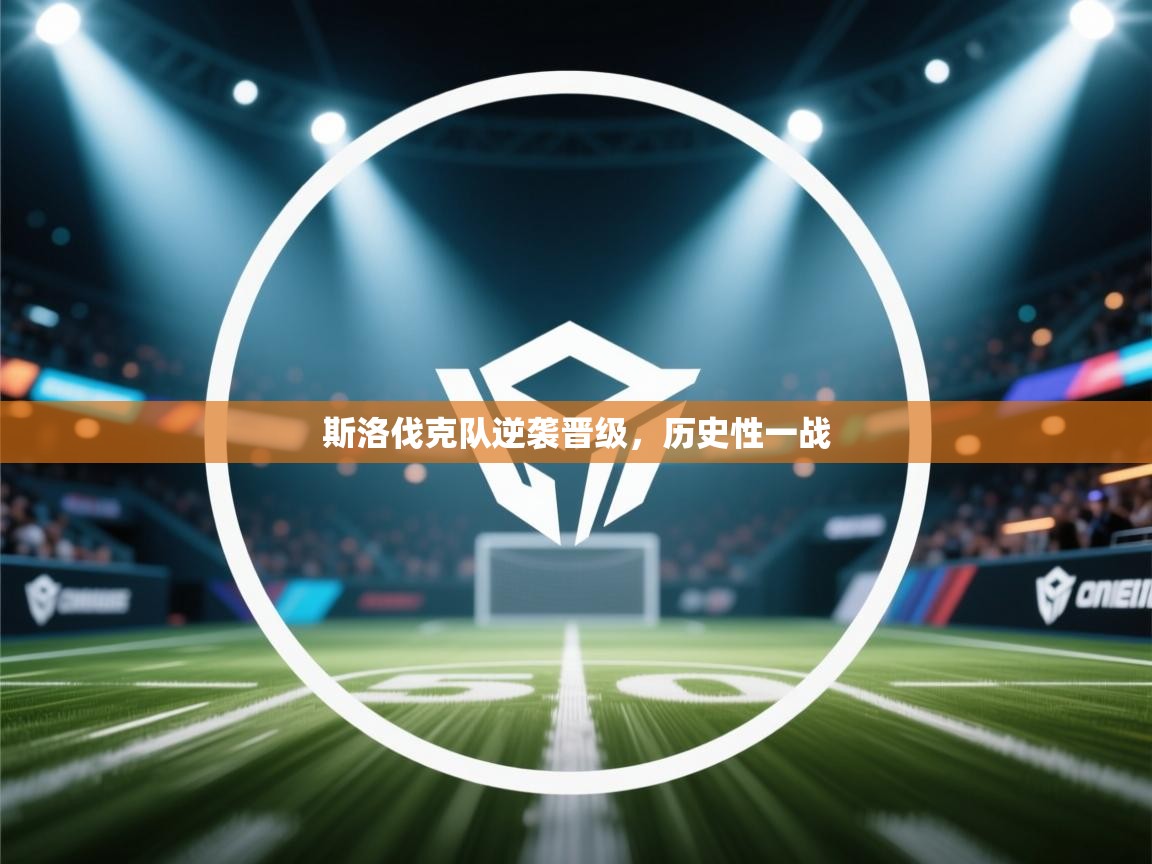 斯洛伐克队逆袭晋级,历史性一战 第1张