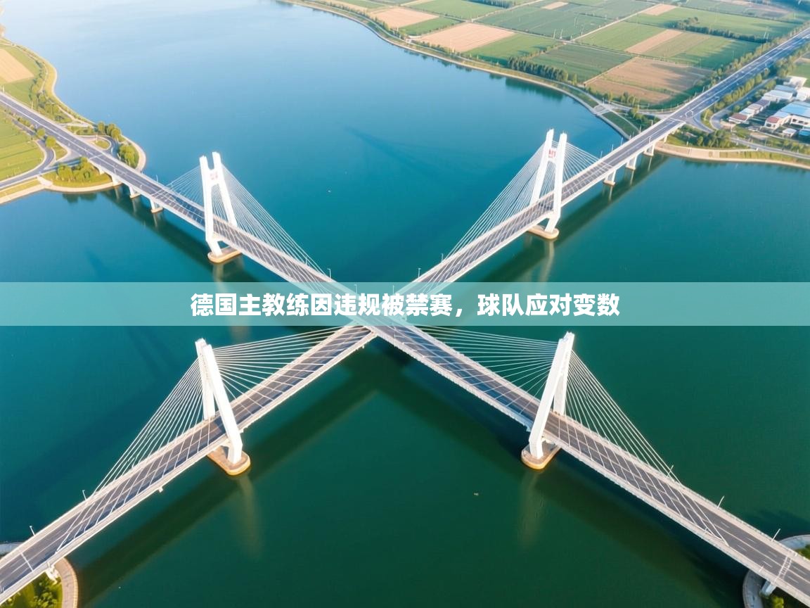 德国主教练因违规被禁赛,球队应对变数 第2张